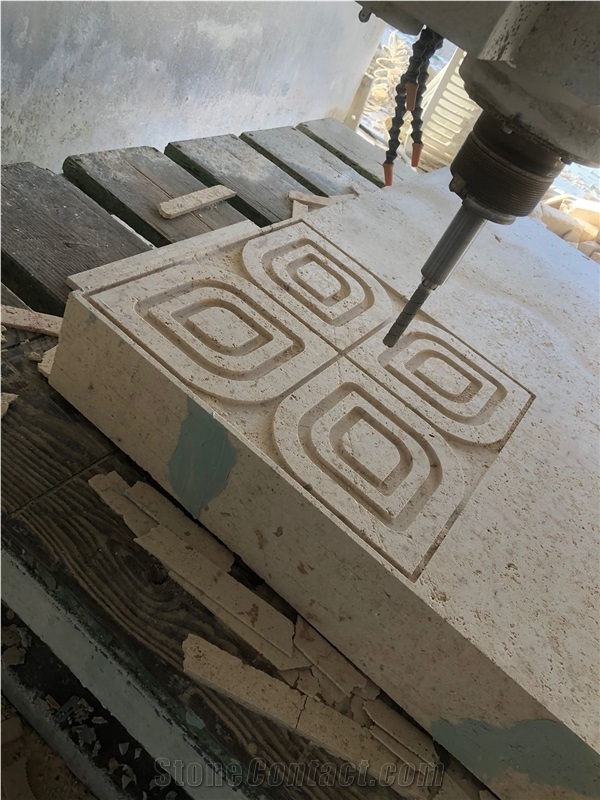 Coral Stone Customized Designs Wall Tiles, Coral Stone Wall Panels