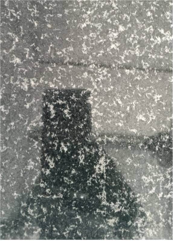 Hassan Green Granite Slabs & Tiles, India Green Granite