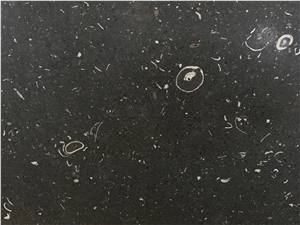 Fossile Black Limestone Fossil Limestone Slab Tile