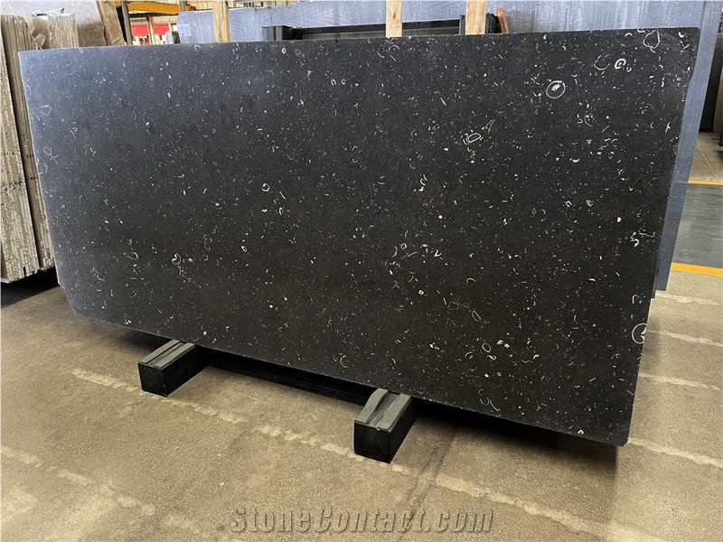 Fossile Black Limestone Fossil Limestone Slab Tile