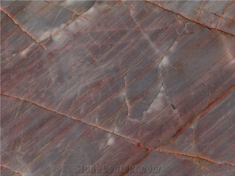 Super Tamarino Quartzite Slab And Tile For Wall