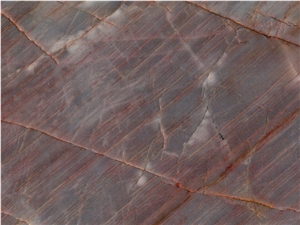 Super Tamarino Quartzite Slab And Tile For Wall