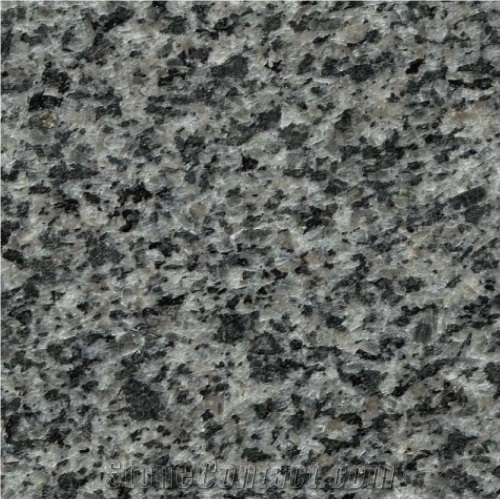 Granite G654 Light Green Grey Granite Slab Tile Own Mine