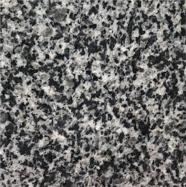 Granite G654 Light Green Grey Granite Slab Tile Own Mine