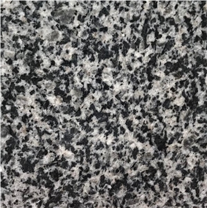 Granite G654 Light Green Grey Granite Slab Tile Own Mine