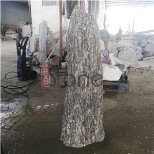 Gneiss Garden Decorative Stone/ Wooden Stone