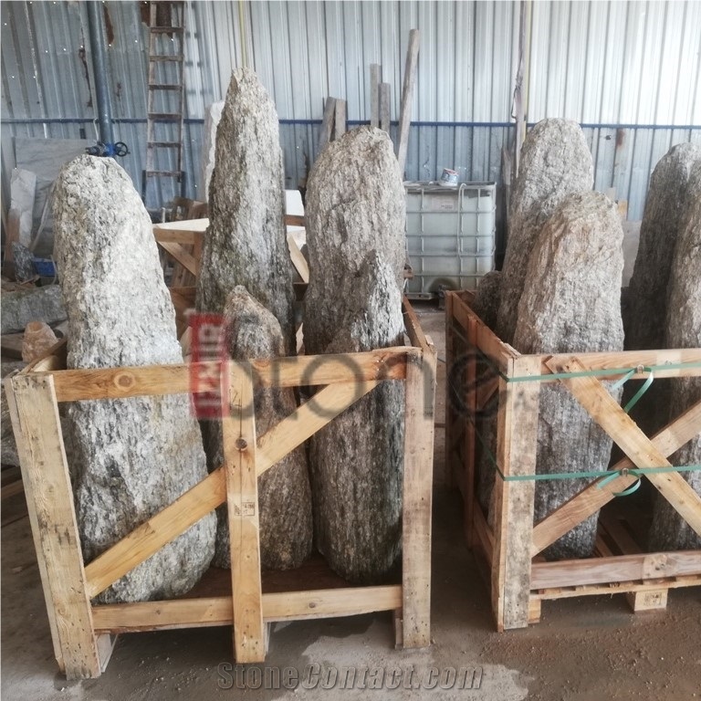Gneiss Garden Decorative Stone/ Wooden Stone