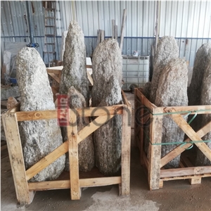 Gneiss Garden Decorative Stone/ Wooden Stone