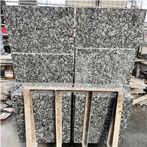 China Verde Butterfly Green Granite Floor Tiles