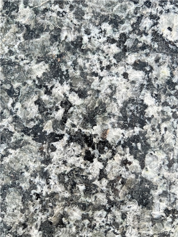 China Verde Butterfly Green Granite Floor Tiles