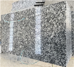 China Verde Butterfly Green Granite Floor Tiles
