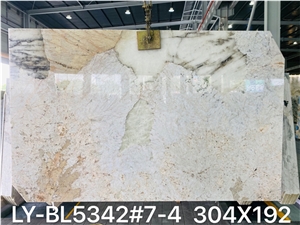 20MM Polished Patagonia Quartzite Slabs