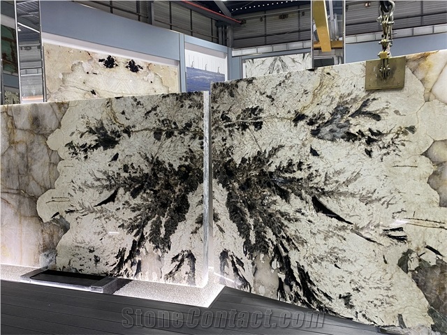 20MM Polished Patagonia Quartzite Slabs