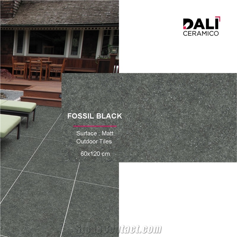 Fossil Black Porcelain Tiles