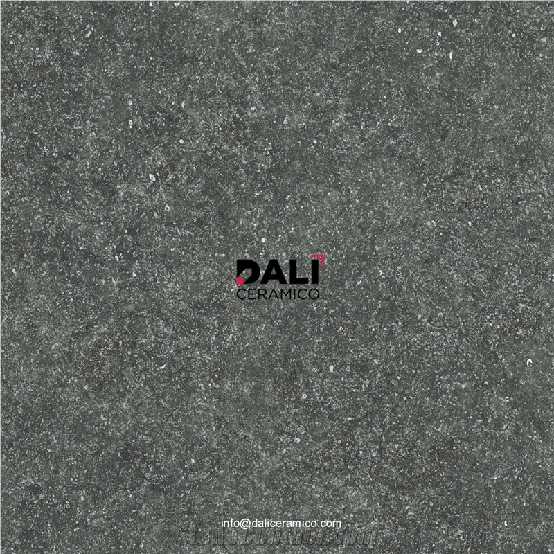 Fossil Black Porcelain Tiles