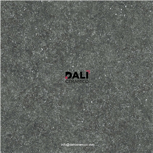 Fossil Black Porcelain Tiles