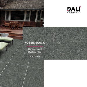 Fossil Black Porcelain Tiles