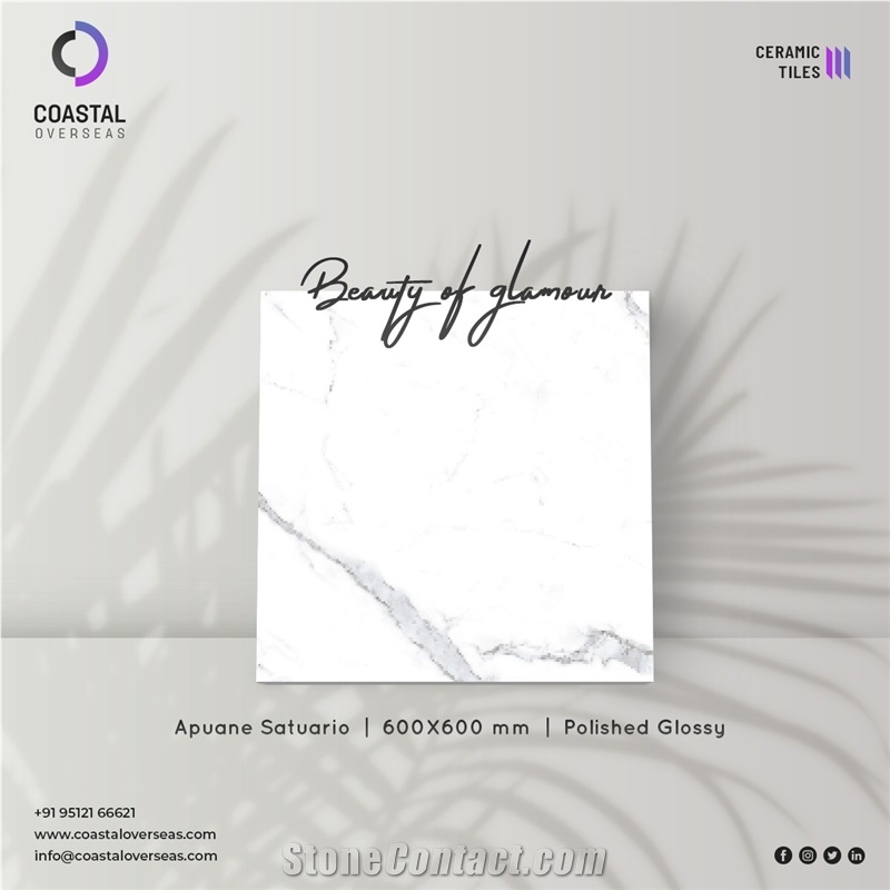 Botticino Polished Glossy Ceramic Tiles