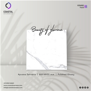 Botticino Polished Glossy Ceramic Tiles
