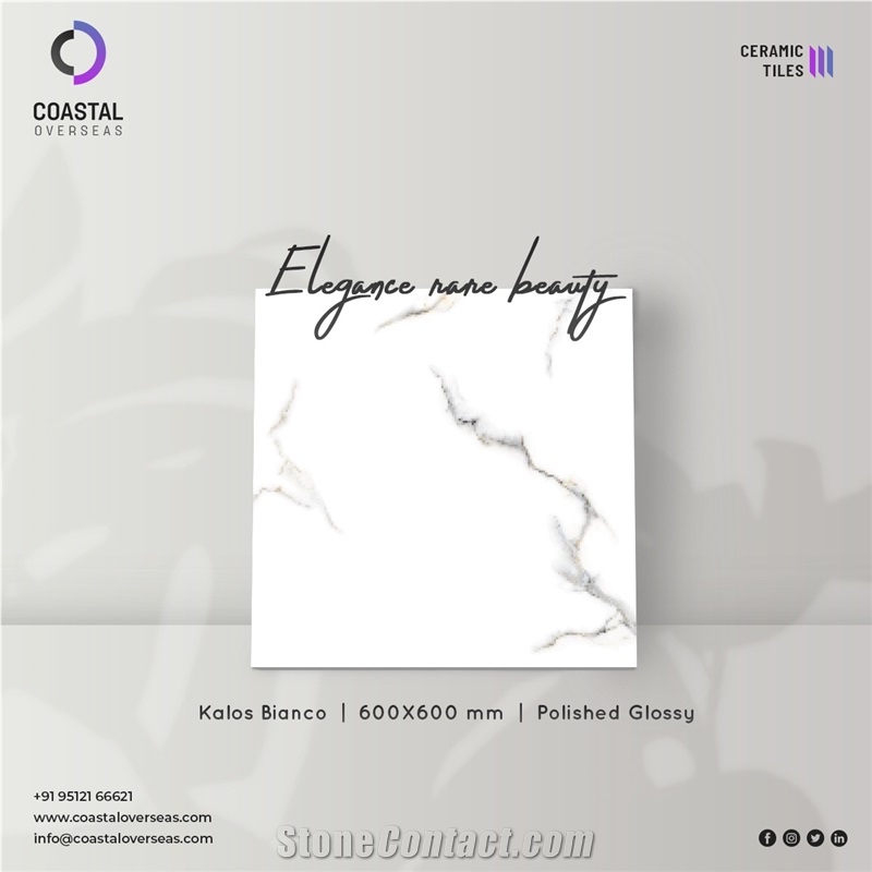 Botticino Polished Glossy Ceramic Tiles