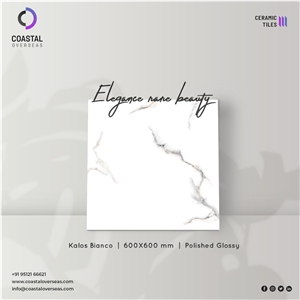 Botticino Polished Glossy Ceramic Tiles