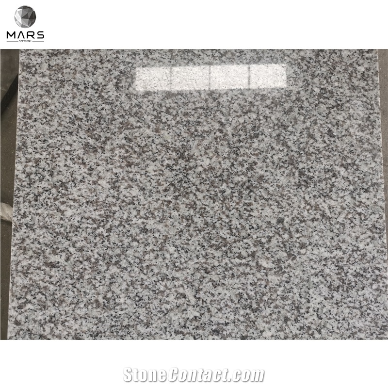 Cheap Price Project White Coarse Granite Countertops G439