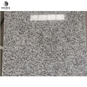 Cheap Price Project White Coarse Granite Countertops G439