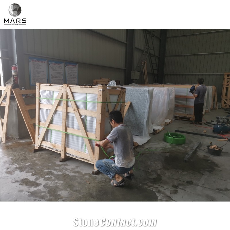 Cheap Price Project White Coarse Granite Countertops G439
