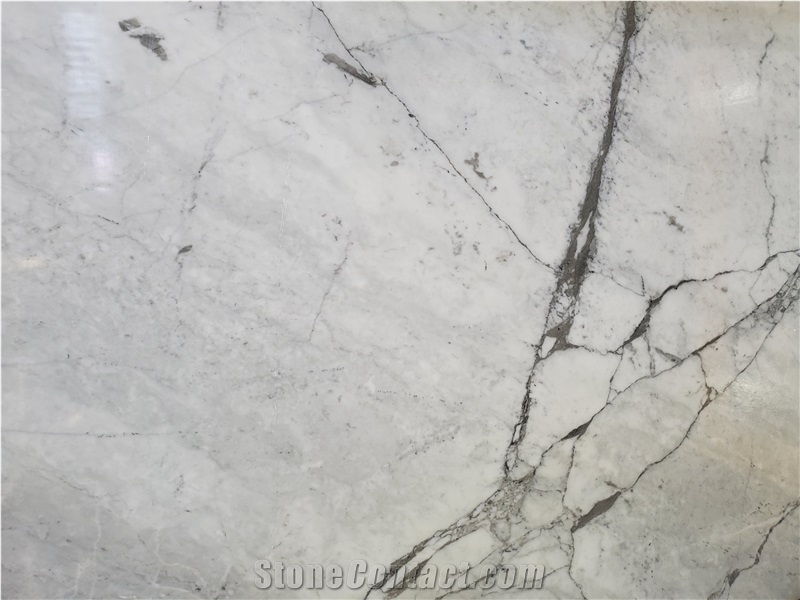 Natural Calacatta Grey Marble Brazil Marble Slab