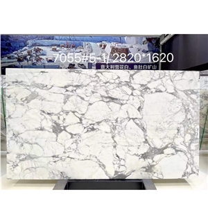 Cheaper Polished Arabescato Extra Marble Slab