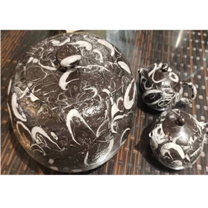 Peacock Eye Marble Fossil Black Sea Shell Marble Slab