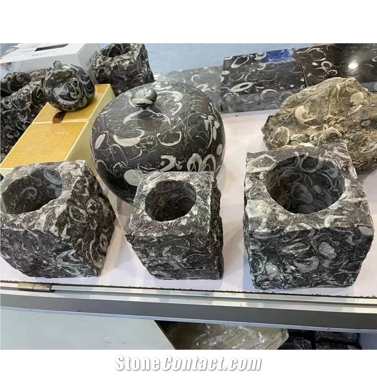 Peacock Eye Marble Fossil Black Sea Shell Marble Slab