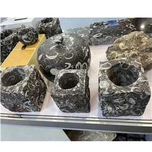 Peacock Eye Marble Fossil Black Sea Shell Marble Slab
