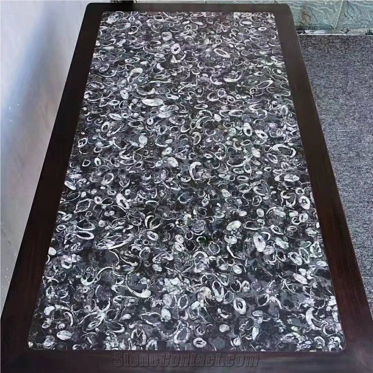 Peacock Eye Marble Fossil Black Sea Shell Marble Slab