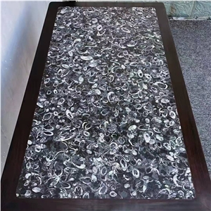 Peacock Eye Marble Fossil Black Sea Shell Marble Slab