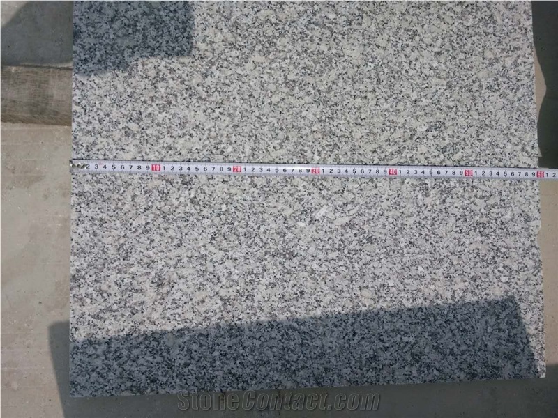 Honed New New Bianco Sardo Granite G602 Tiles