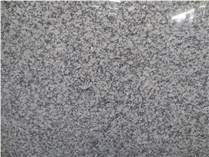 Honed New New Bianco Sardo Granite G602 Tiles