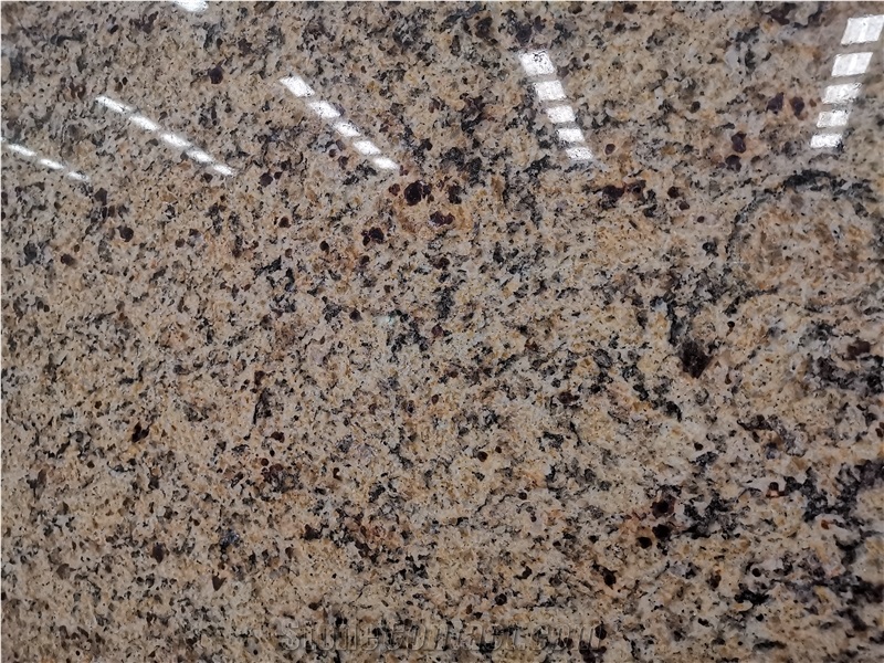 Giallo Brazilian Golden Granite Cladding And Paving Tiles