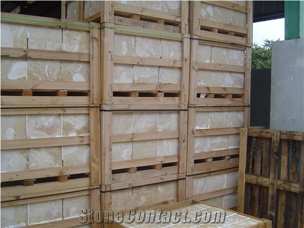 Dominican White Coral Stone Tiles