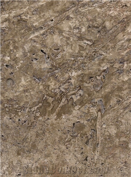 Travertino Olivillo Moca Travertine Slabs