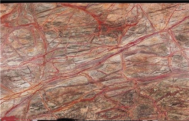 India Rainforest Brown-Red Marble Slab