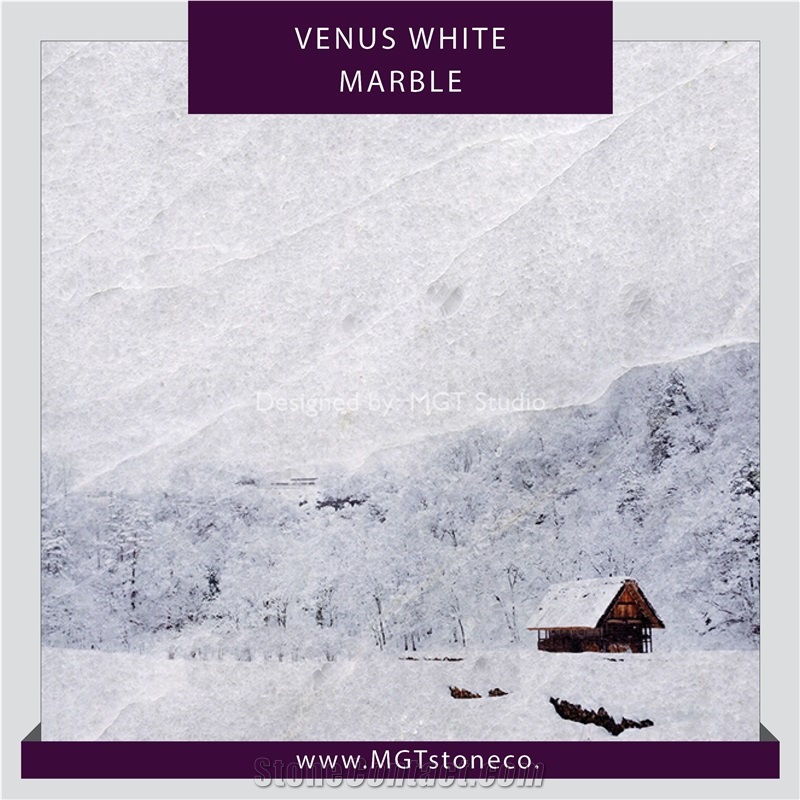 Venus White Marble Tiles & Slabs
