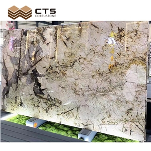 Fancy Pattern Pandora Gold Elegant Glossiness Granite Slabs