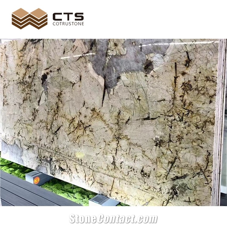 Fancy Pattern Pandora Gold Elegant Glossiness Granite Slabs