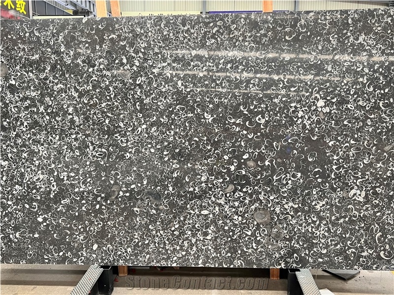 Deep Sea Shell Flower Black Marble Slab