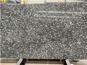 Deep Sea Shell Flower Black Marble Slab