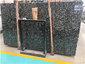 Luxury Fossil Deep Sea Black Marble Slab