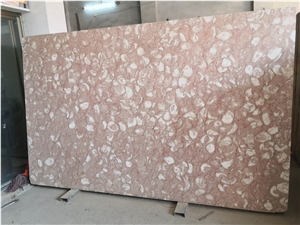 Orient Fossil Pink Limestone Slab Orient Fossil Pink Limestone Slab