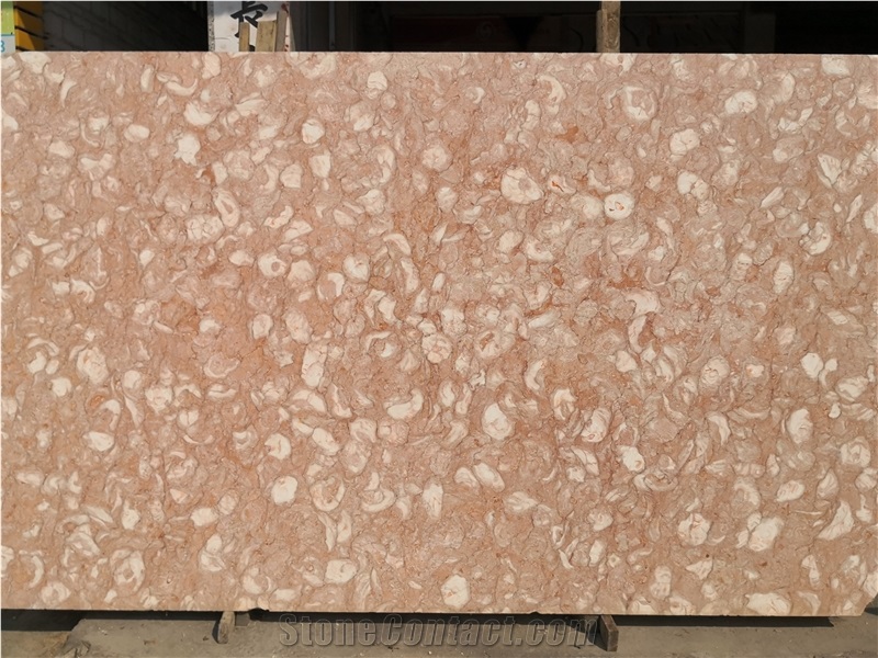 Orient Fossil Pink Limestone Slab