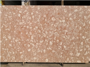Orient Fossil Pink Limestone Slab